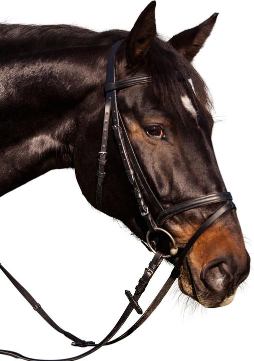 Immagine prodotto Kerbl Briglia Snaffle Standard