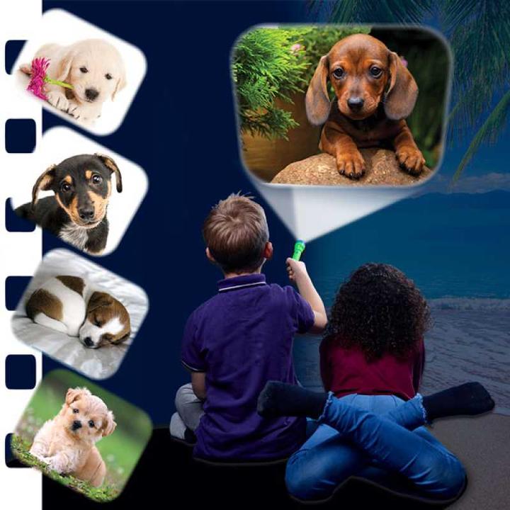 Immagine prodotto Brainstorm Cuccioli di torcia e proiettore (Francese, Tedesco, Italiano, Inglese)