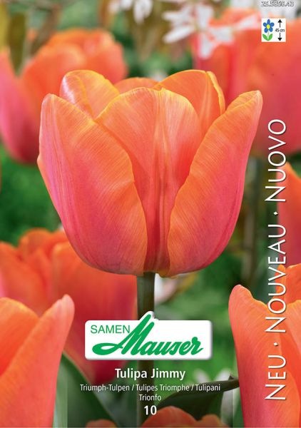 Immagine prodotto Samen Mauser Jimmy (Pianta bulbosa)