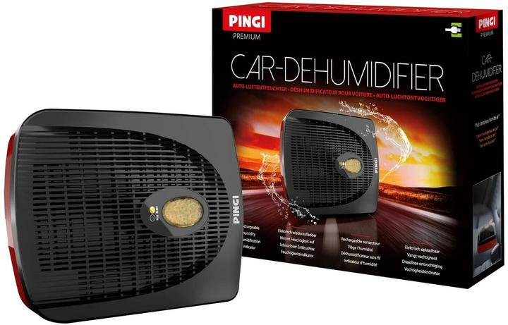 Pingi ID-A300