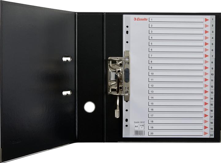 Actual product image Esselte Plastic register