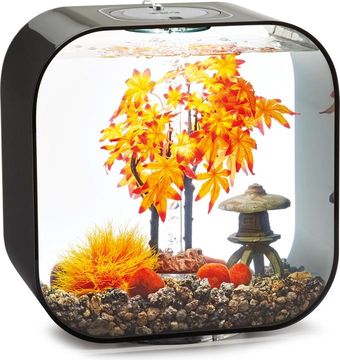Actual product image Oase 55027 Aquarium decoration 30 l (Embellishment, other buildings)