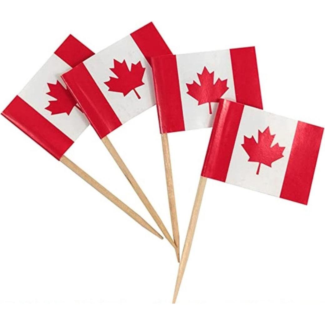 König Design, Einweggeschirr, 100 Flaggenpicker Länder Nationen Deko Zahnstocher Flagge Geburtstag Party DIY (1 x)
