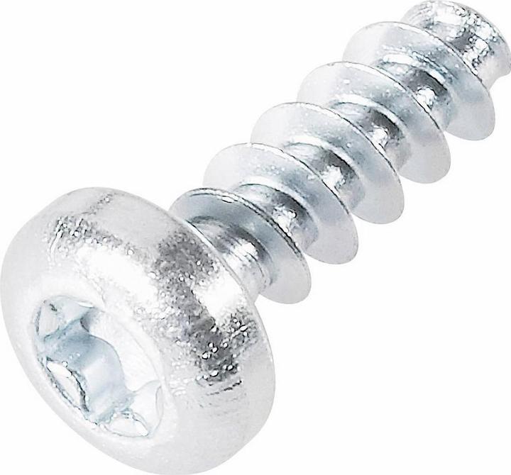 Image du produit Toolcraft Vis rainurée en plastique (100 Vis par pièce)