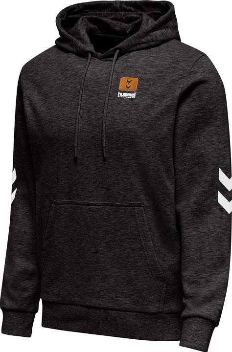 Produktbild hummel Lgc Liam Hoodie (S)