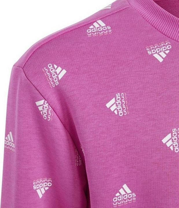 Produktbild Adidas Bluv Sweatshirt (152)