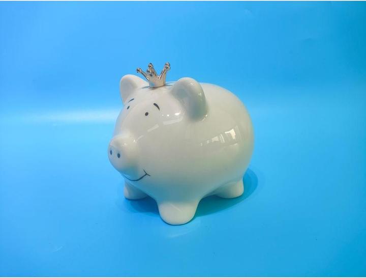 Roost Cassa di risparmio 14,7x11,5x12,5cm