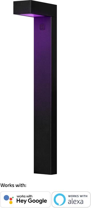 Actual product image Hombli Smart Outdoor Pathway Light, Black (single) (300 lm, IP65)