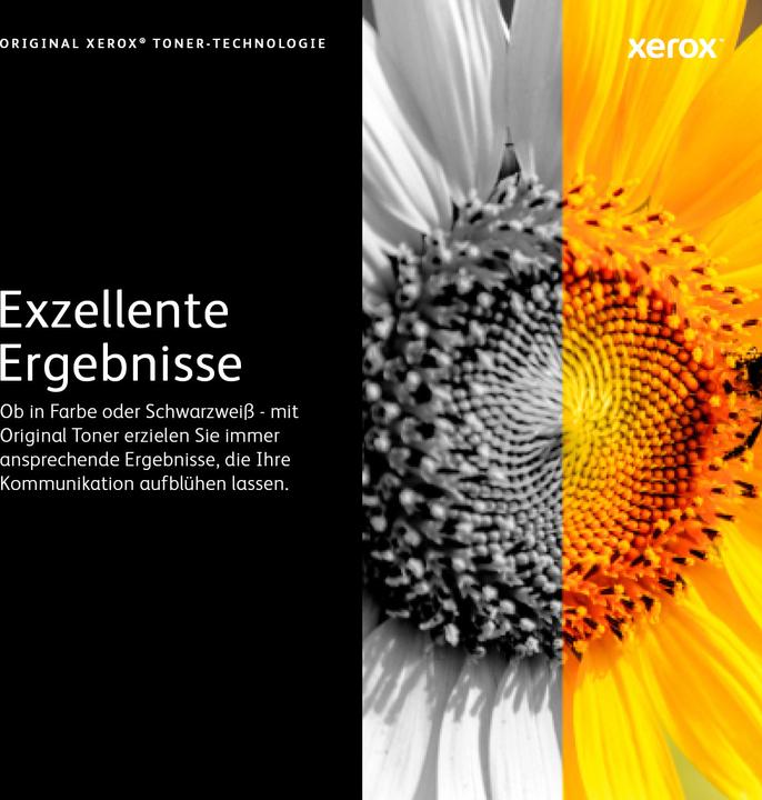 Actual product image Xerox 108R01482 (M)