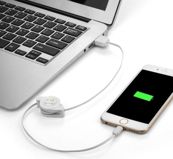 Image du produit PowerGuard Câble extensible USB vers Lightning Charge 1m (1 m, USB 3.2 Gen 1)