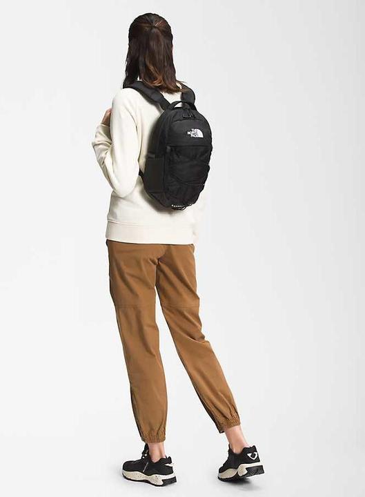 Actual product image North Face Borealis Mini (10 l)