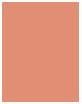 Actual product image Clinique Blush (102-innocent peach)