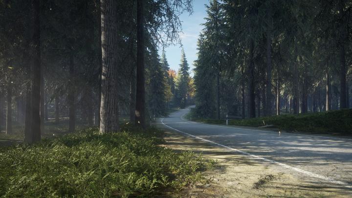 Produktbild THQ PS4 The Hunter Call of the Wild (PS4, FR, EN)