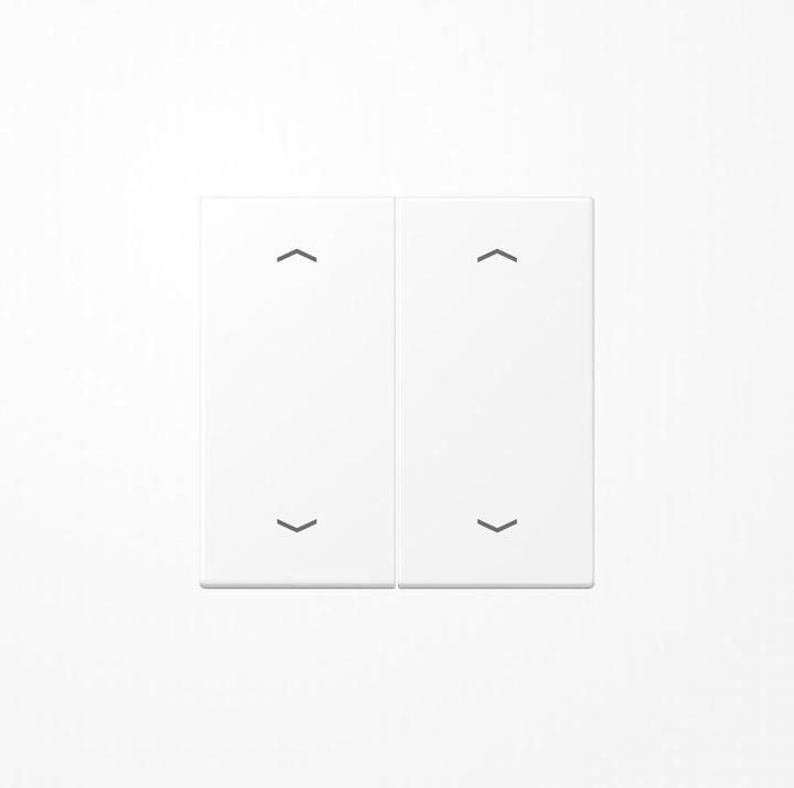 Actual product image JUNG Rocker