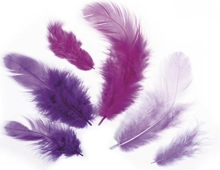 Actual product image Rayher Feather mixture purple 10g
