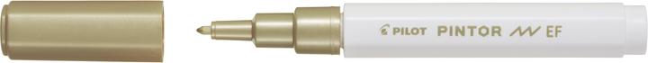 Image du produit Pilot Pintor Extra fin