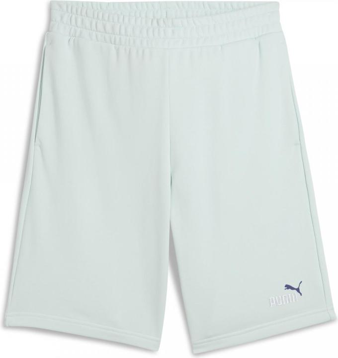 Image du produit Puma ESS 2 COLOR No. 1 Logo Shorts 10" TR (XL)