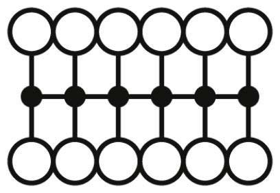 Immagine prodotto Phoenix Contact PTFIX12X2,5BN