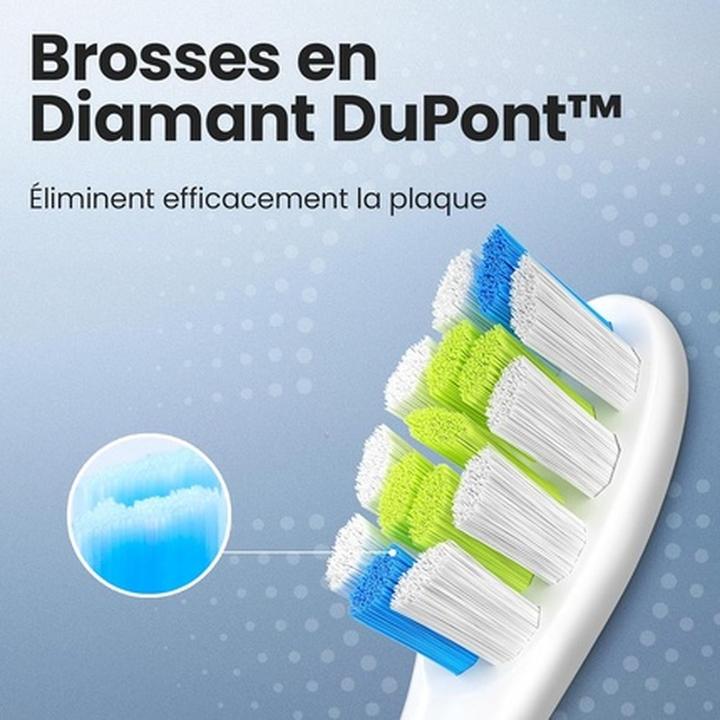 Actual product image Oclean Professional Clean (6 x)