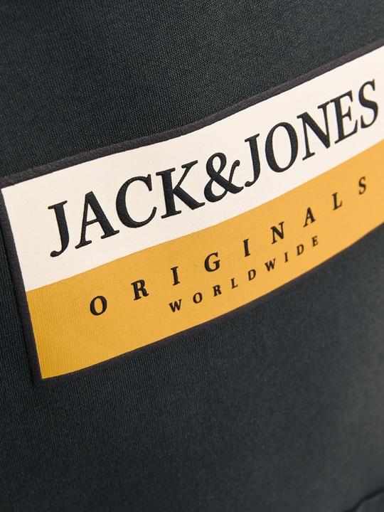 Produktbild Jack & Jones Logo Kapuzenpullover Junior Kapuzenpullover (164)