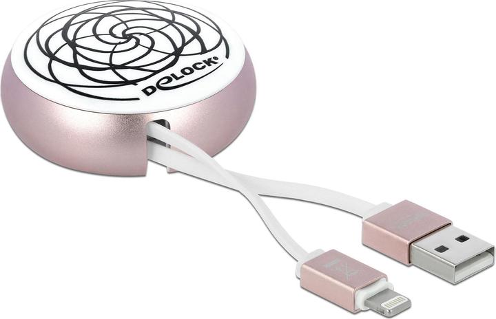 Image du produit Delock Câble USB 2.0 USB-A - Foudre avec fonction Autoroll (0.92 m, USB 2.0)