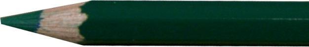 Actual product image Caran d'Ache Colour Pencil Pablo Dark Green 229 (1x)