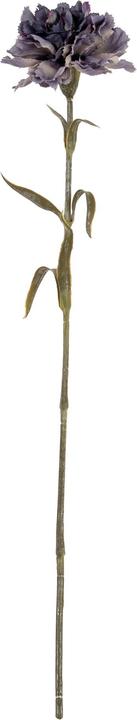 Immagine prodotto Hill Interiors Garofano Fiore Artificiale (56 cm)