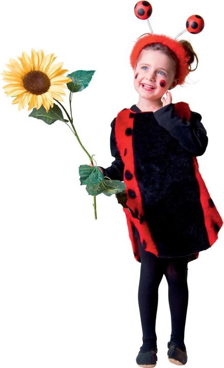 Actual product image Festartikel Müller Ladybug (104)