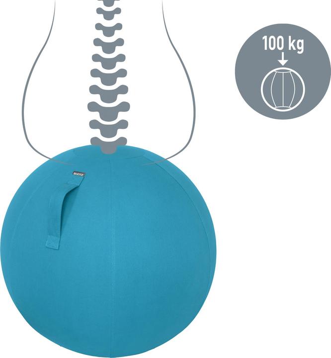 Immagine prodotto Leitz Palla per sedersi Ergo Cosy Active (65 cm)