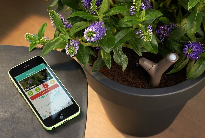 Produktbild Parrot Flower Power Pflanzensensor
