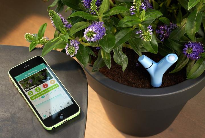 Immagine prodotto Parrot Sensore WiFi Flower Power