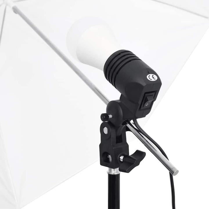 Image du produit vidaXL Fotostudio-Kit (600 cm, 210 cm)