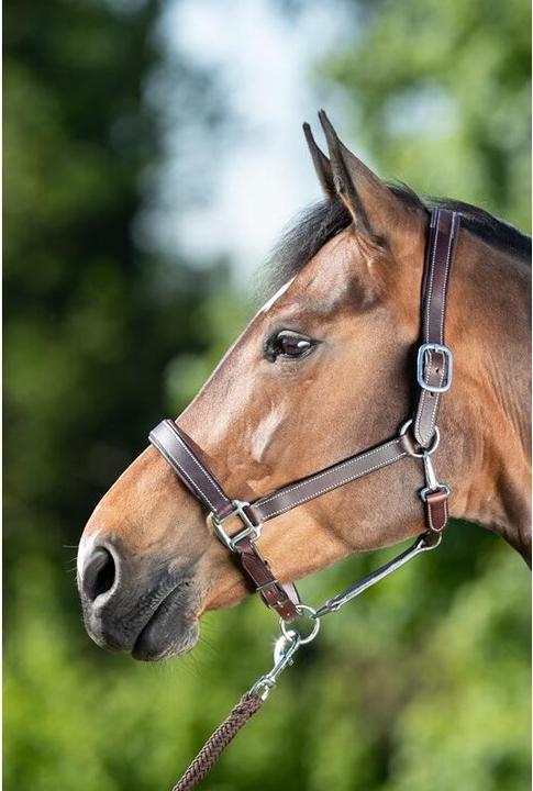 Immagine prodotto HFI Master Flat