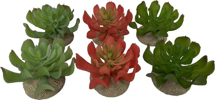 EBI Aqua Della Bamboo (Planten, Andere objecten)