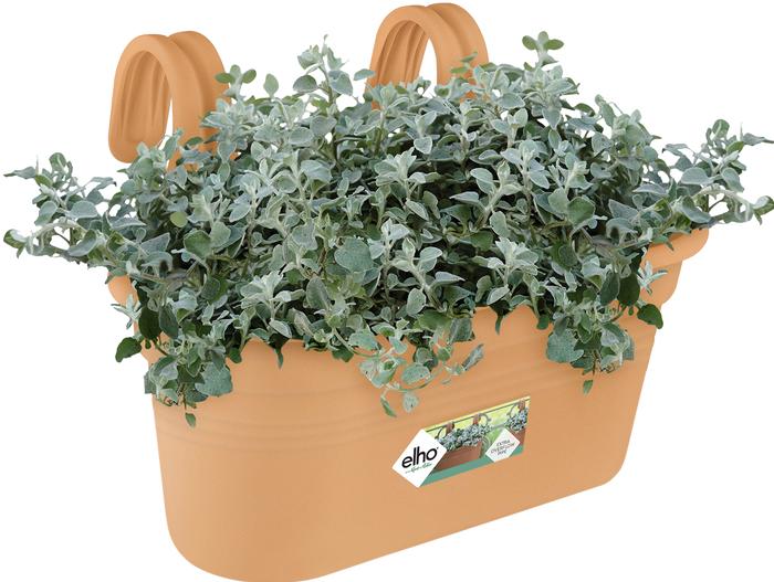 Productafbeelding Elho Easy Hanger Green Basics balkonbox, ovaal, 26x36x25,7 cm, kunststof in terracotta (26.20 cm)