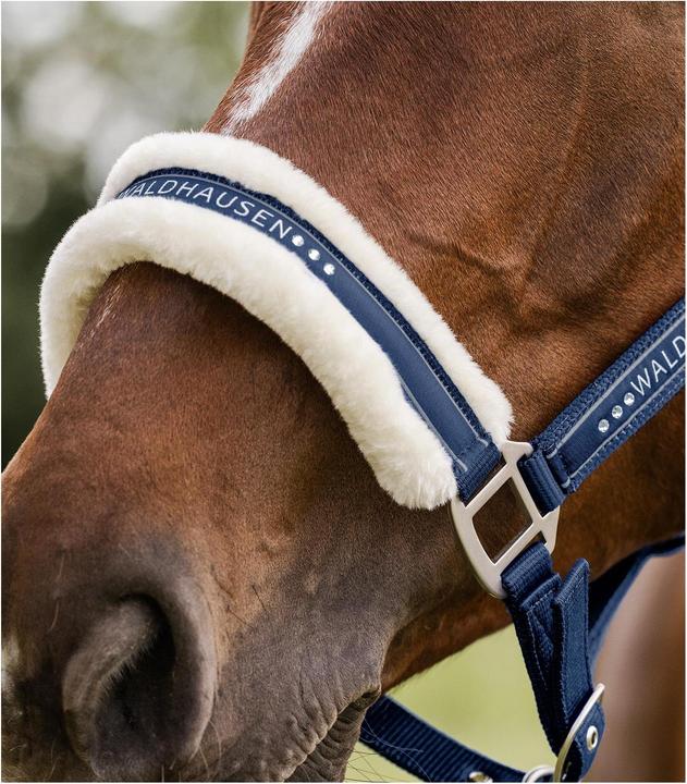 Produktbild Waldhausen Halfter Elegant