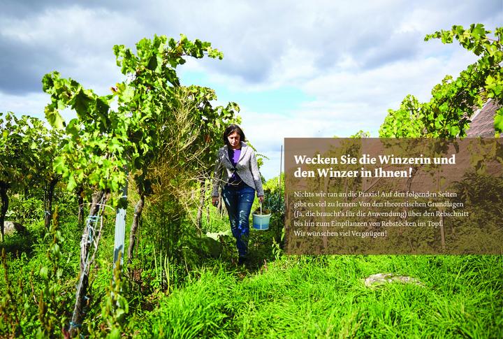 Produktbild Bio-Wein im eigenen Garten (Deutsch, Sonja Schmid, 2021)