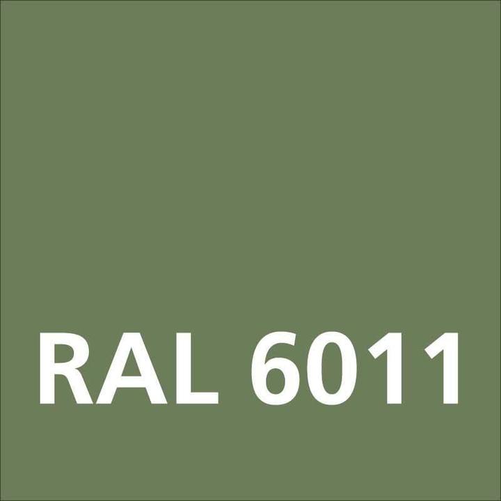 Actual product image Dupli-Color NEXT RAL 6011 Reseda green glossy (NEXT RAL 6011 Reseda green glossy, 0.40 l)