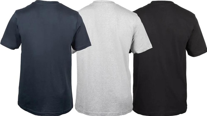 Actual product image Dickies T-shirt (3-pack) (XXL)