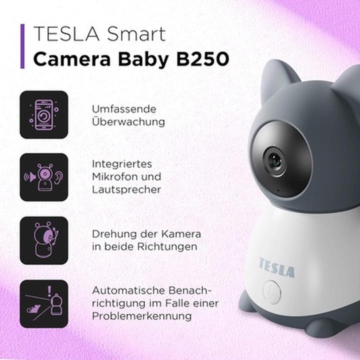 Actual product image Tesla Smart B250 surveillance camera, grey/white (1920 x 1080 Pixels)