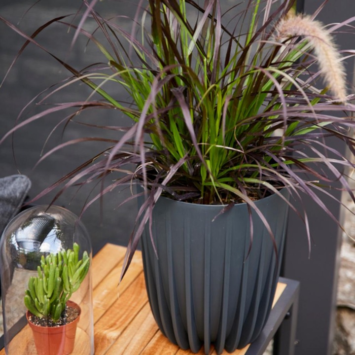 Produktbild Siena Garden Pflanzgefäss (19 cm)