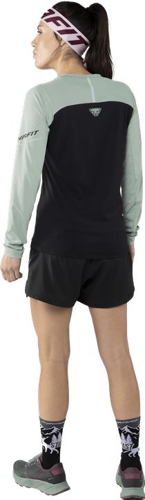 Produktbild Dynafit Alpine Pro Langarmshirt (40)