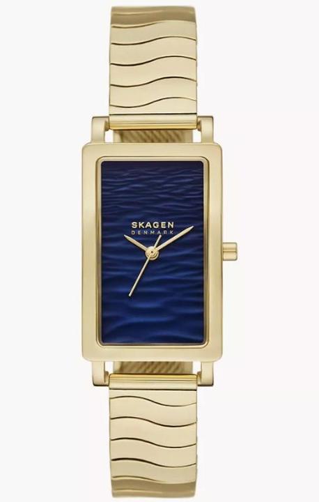 Image du produit Skagen Hagen (43 mm)