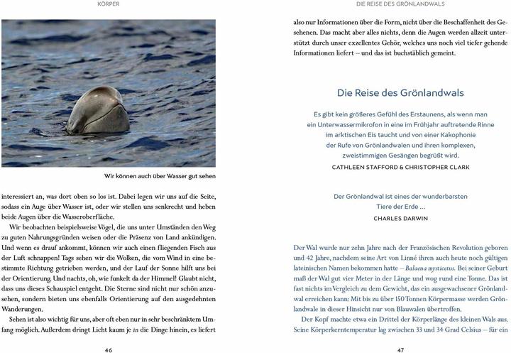 Immagine prodotto Wir Wale (Tedesco, Cavaliere Fabian, 2025)