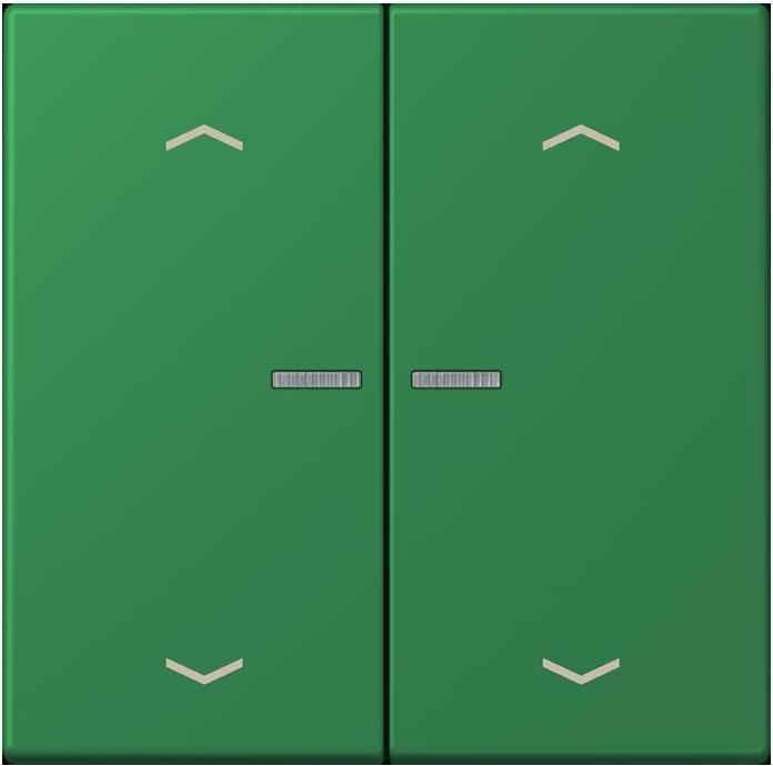 Actual product image JUNG BTLC17102P219 HOME push button