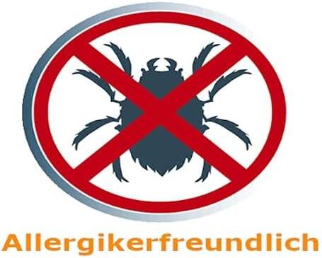 Image du produit Kärcher Staubsaugerbeutel SP6 Set für Siemens VS06A111 (20x)