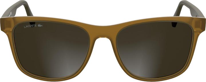 Actual product image Lacoste L6054S Transparent Brown