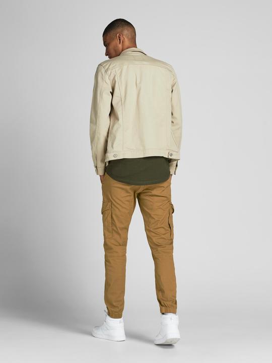 Actual product image Jack & Jones PAUL FLAKE AKM 542 Cargo Trousers (29)