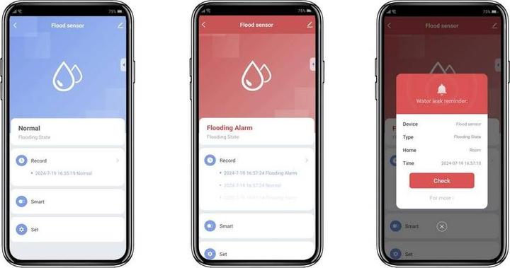 Produktbild Sygonix SY-6515318 Funk-Wassermelder mit App-Steuerung batteriebetrieben