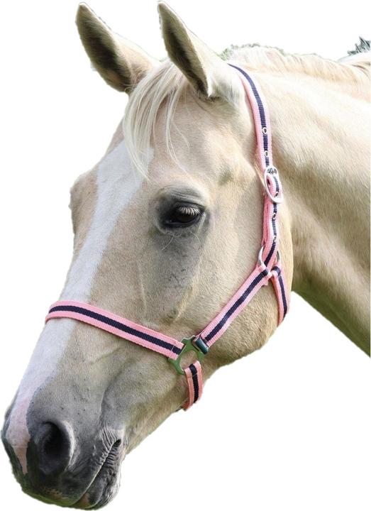 Produktbild UTER532 P